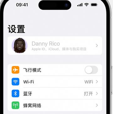 带岭appleID维修服务iPhone设置中Apple ID显示为灰色无法使用 