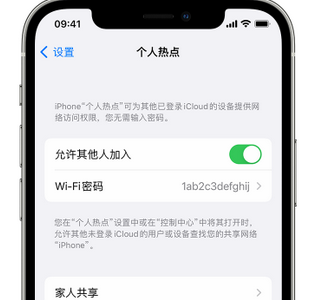 带岭apple服务站点分享iPhone上个人热点丢失了怎么办 