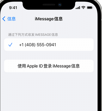 带岭apple维修iPhone上无法正常发送iMessage信息 