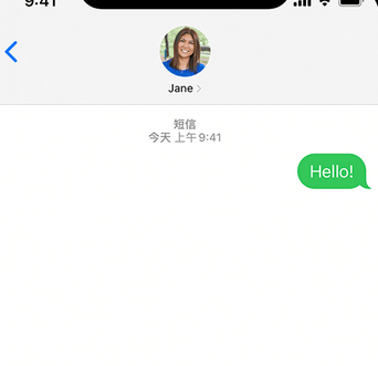 带岭apple维修iPhone上无法正常发送iMessage信息