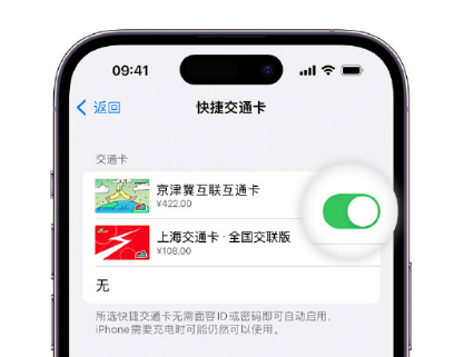 带岭apple维修点分享iPhone上更换Apple Pay快捷交通卡手绘卡面 