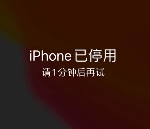 带岭苹果手机维修分享:iPhone 显示“不可用”或“已停用”怎么办？还能保留数据吗？ 