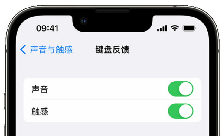 带岭苹果手机维修分享iPhone 14触感键盘使用方法 