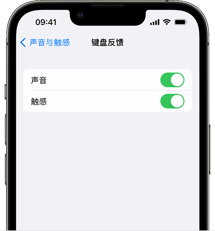 带岭苹果14维修店分享如何在 iPhone 14 机型中使用触感键盘 