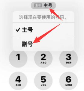 带岭苹果14维修店分享iPhone 14 Pro Max使用副卡打电话的方法 