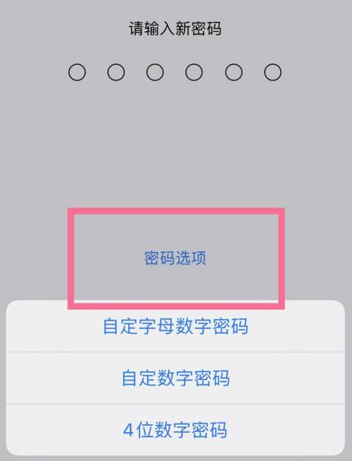 带岭苹果14维修分享iPhone 14plus设置密码的方法 