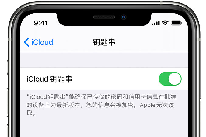 带岭苹果手机维修分享在 iPhone 上开启 iCloud 钥匙串之后会储存哪些信息 