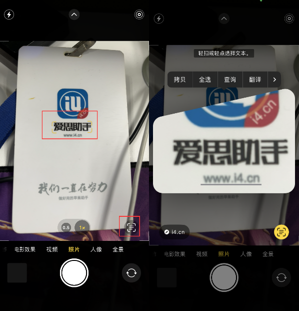 带岭苹果手机维修分享升级iOS 16后如何通过相机翻译文本 