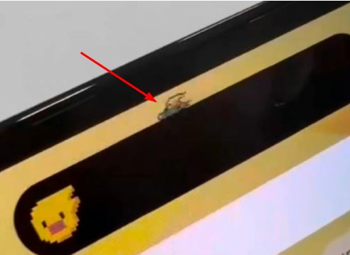带岭苹果14维修分享iPhone 14 Pro Max灵动岛怎么养宠物 