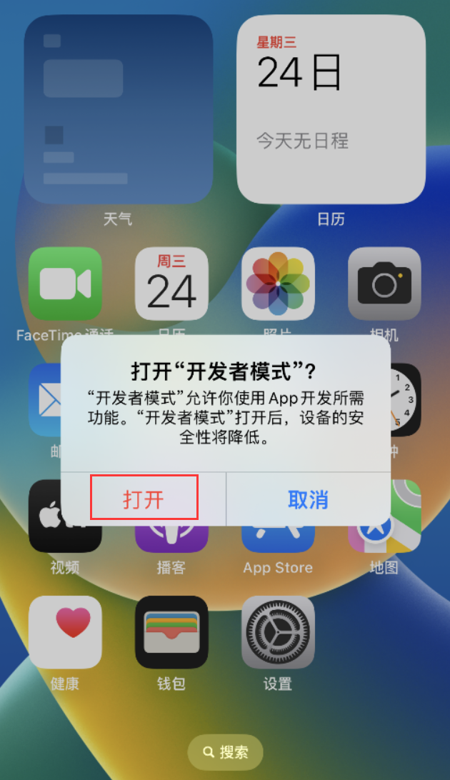 带岭苹果手机维修分享如何打开开发者模式 