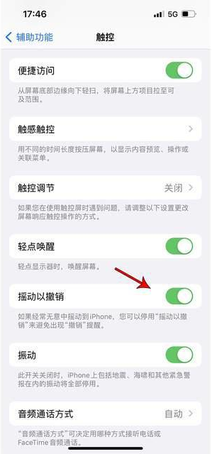 带岭苹果手机维修分享iPhone手机如何设置摇一摇删除文字 