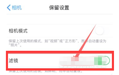 带岭苹果13维修分享iPhone13拍照有绿点是怎么回事 