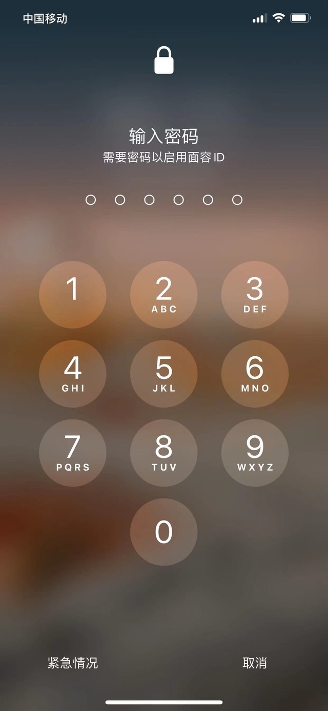 带岭苹果13维修分享iPhone 13加强锁屏功能有什么用 