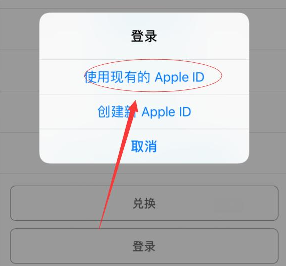 带岭苹果手机维修分享两台iPhone设备可以同时登录一个Apple ID吗 