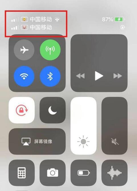 带岭苹果手机维修分享为 iPhone 12 双卡设置标签 