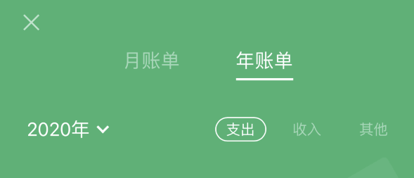 带岭苹果手机维修分享如何在 iPhone 上查看支付宝和微信年支出账单 