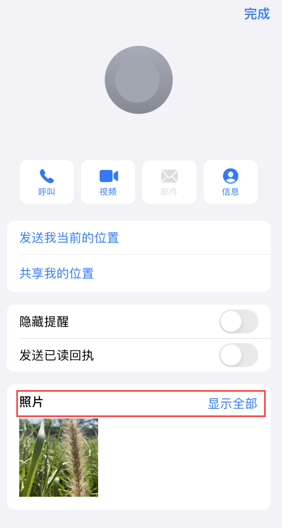 带岭苹果手机维修分享如何快速查找 iMessage 信息中的图片等附件 